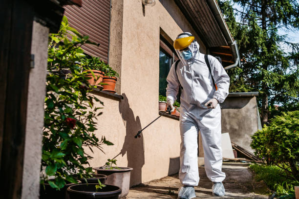 Best Insect Control  in Chandler, AZ
